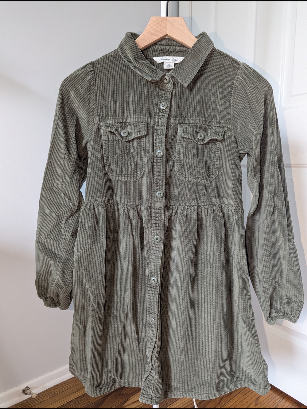 American Eagle Outfitters Olive Green Corduroy Mini Dress